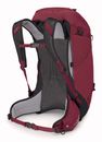 Osprey Hikelite 32 S / M Chameleon / Black