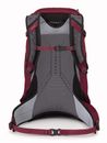 Osprey Hikelite 28 S / M Chameleon / Black