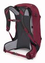 Osprey Hikelite 28 S / M Chameleon / Black