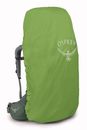 Osprey Ariel 65 XS / S Koseret Green