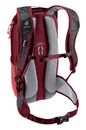 deuter Race Backpack 8 Cherry - Masala