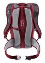deuter Race Backpack 8 Cherry - Masala