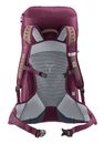 deuter AC Lite Backpack 28 SL Ashrose - Cassis
