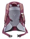 deuter AC Lite Backpack 21 SL Ashrose - Cassis