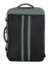 American Tourister Take2Cabin Travel Backpack L Dark Forest