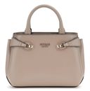 Dark Taupe