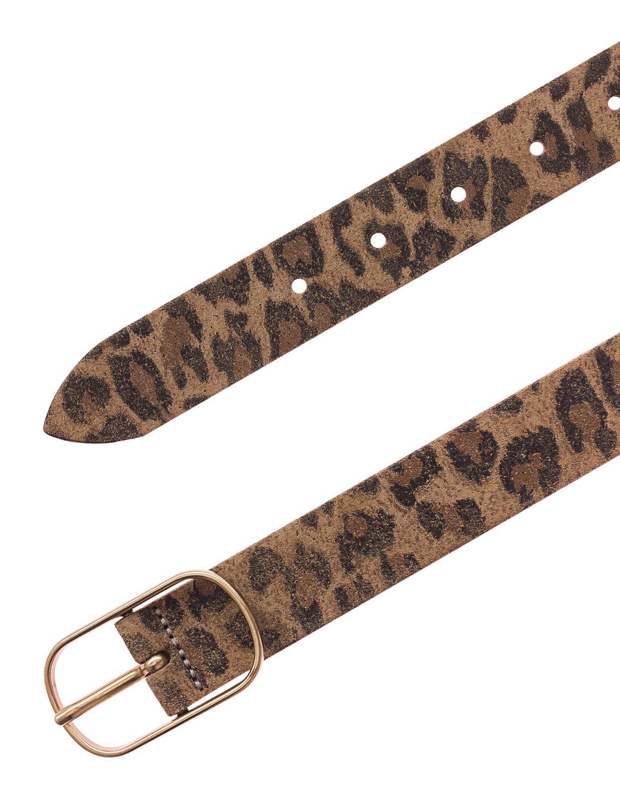 Vanzetti Leather Belt W100 Taupe - Dark Brown Vanzetti Leather Belt W100 Taupe - Dark Brown