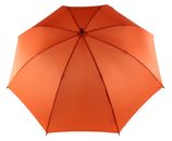 Vibrant Orange