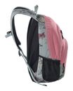 NITRO Stash 29 Backpack Woodrose