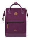 CABAIA Adventurer Essentials Backpack M Kingston