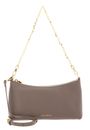 Warm Taupe