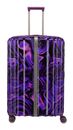 Purple Swirl