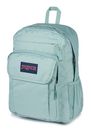 JanSport Union Pack Faded Sage