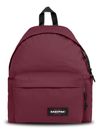 Maroon Burgundy