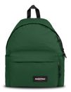 Bristle Green