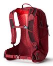 GREGORY Maya 20 Backpack Iris Red