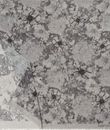 Silvergrey