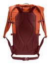 VAUDE CityGo 23 II Backpack Buckeye