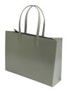 Ted Baker Crikon Crinkle Extra Large Icon Bag Grey
