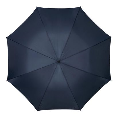 Samsonite Rain Pro Stick Umbrella Blue