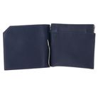 Golden Head Capri Clip-Scheintasche 1960 Blau