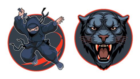 Schneiders Patches Set 2 teilig Ninja+Panther
