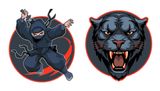 Ninja+Panther
