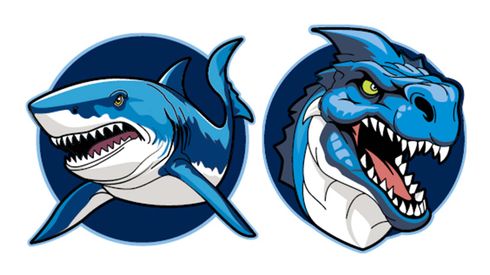Schneiders Patches Set 2 teilig Shark+Dragon