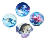 ergobag Cubo Set 5-teilig OzeanBärwohner