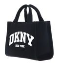 DKNY Hadlee Mini Crossbody Black / Silver