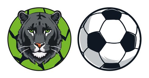 Schneiders Patches Set 2 teilig Panther + Soccerball