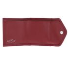 Golden Head Polo Damen-Minischeintasche 1005 Rot Golden Head Polo Damen-Minischeintasche 1005 Rot