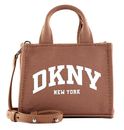 DKNY Hadlee Mini Crossbody Hot Cocoa