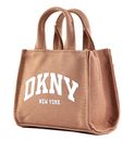 DKNY Hadlee Mini Crossbody Hot Cocoa