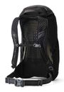 GREGORY Arrio 22 Backpack Shadow Pine Black