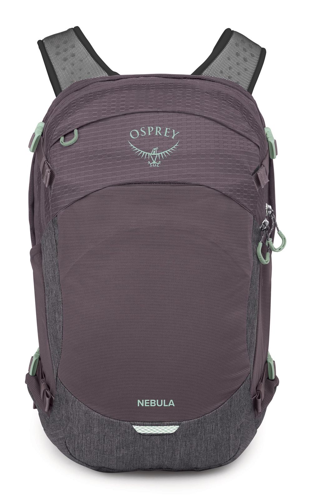 Osprey Nebula Graphite / Purple Heather