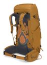 Osprey Kyte 38 M / L Barley Brown