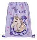 Scooli EasyStart Schulranzen-Set 5-teilig Magic Horse