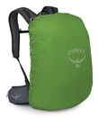 Osprey Hikelite 28 Hiking Backpack Tungsten - Yellow