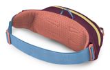 Osprey Daylite Waist Moody Burgundy
