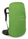 Osprey Kestrel LT 45 Backpacking Pack Moss Green