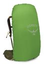 Osprey Kestrel 48 L / XL Moss Green