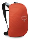 Osprey Hikelite 22 Hiking Backpack Silver Lining