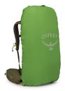 Osprey Kestrel 38 L / XL Moss Green