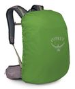 Osprey Hikelite 28 Hiking Backpack Graphite Purple
