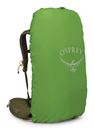 Osprey Kestrel 38 S / M Moss Green