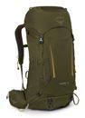 Osprey Kestrel 38 S / M Moss Green