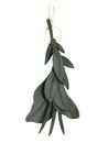 Ted Baker Fllory 3D Flower Keyring Dk - Green Ted Baker Fllory 3D Flower Keyring Dk - Green