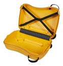 Samsonite Dream2Go Disney Ride - on Suitcase Disney Simba Samsonite Dream2Go Disney Ride - on Suitcase Disney Simba