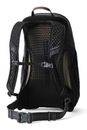 GREGORY Arrio 20 Shadow Backpack Shadow Pine Black